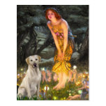 Labrador (Y7) - MidEve Post Card