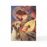 Labrador (Y8) - Mandolin Angel cards