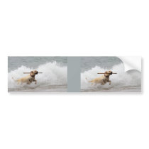Labrador - Yellow - Go Fetch!