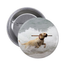 Labrador - Yellow - Go Fetch! Buttons