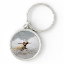 Labrador - Yellow - Go Fetch!