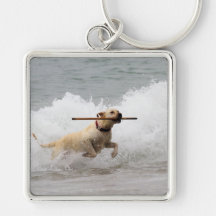 Labrador - Yellow - Go Fetch! Keychains