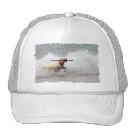 Labrador - Yellow - Go Fetch! Mesh Hat