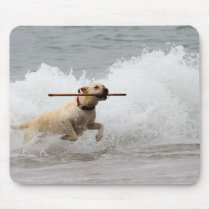 Labrador - Yellow - Go Fetch!