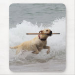 Labrador - Yellow - Go Fetch! Mousepads