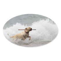 Labrador - Yellow - Go Fetch!