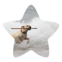 Labrador - Yellow - Go Fetch!