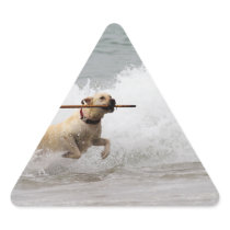 Labrador - Yellow - Go Fetch!