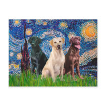 Labradors (3) - Starry Night Postcards