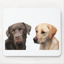 labradors mouse mats