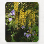 Laburnum Flowers mousepads