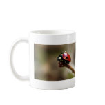 LABYBIRD mugs
