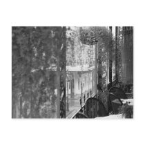 Lace View French Quarter New Orleans Postcard