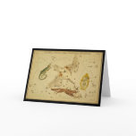 Lacerta, Cygnus, Lyra, Vulpecula and Anser cards
