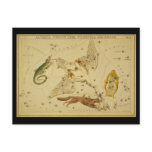 Lacerta, Cygnus, Lyra, Vulpecula and Anser postcards