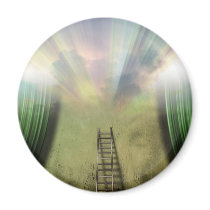 Ladder to success refrigerator magnet