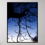 Ladder to the Moon posters