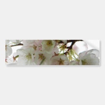 Ladies of Spring Bumper Sticker