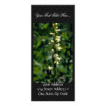 Ladies Tresses Orchid Custom Rack Cards