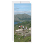 Ladies View Killarney National Park rack cards