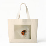 Lady Beetle Climbing High bags