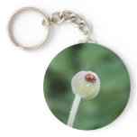 Lady Bird Key Chain keychains