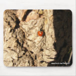 Lady Bug-Mousepad