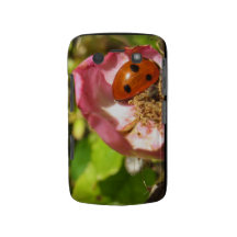 lady bug on a blackberry flower blackberry cases