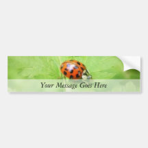 Lady Bug on Feverfew Leaf Bumper Sticker