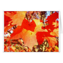 Lady Bug on Red Maple leaf Card