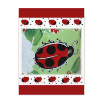 Lady-Bug Post Card