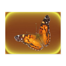Lady Butterfly ~ postcard