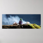 Lady Cooking posters