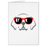 Lady dog greeting cards