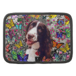 Lady in Butterflies  - Brittany Spaniel Dog Organizers