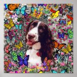 Lady in Butterflies  - Brittany Spaniel posters