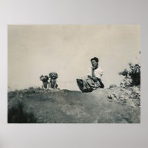 lady kneeling and 2 dogs top of mountain poster