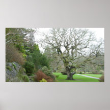 Lady of the Garden Posters