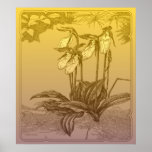Lady slipper orchids poster