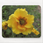 Lady Stratheden mousepads