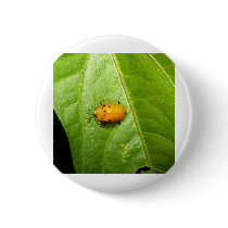 ladybird button
