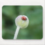 Ladybird Mouse Pad