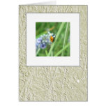Ladybird on a stalk greeting cards