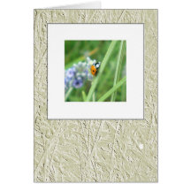 Ladybird on a stalk greeting cards