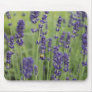 Ladybird on Lavender Mousepad
