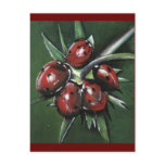 Ladybird Products postcards