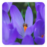 Ladybird Sticker