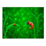 Ladybug and Chameleon Post Card