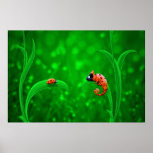 Ladybug and Chameleon Print