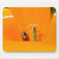Ladybug and Poppy II Mousepad